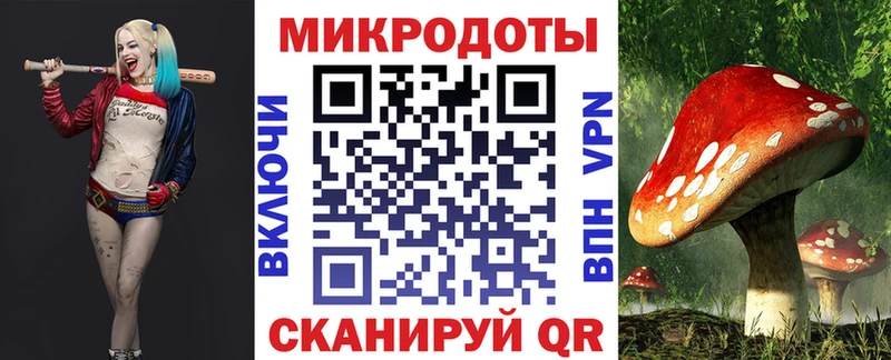 Галлюциногенные грибы Magic Shrooms  Ахтубинск 